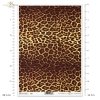 leopard, skin