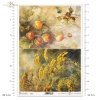 jesień, jesienne widoczki, kolory jesieni, zioła, miechunka rozdęta, wrotycz, liście, łąka, autumn, autumn views, autumn colours, herbs, leaves, Herbst, Herbstansichten, Herbstfarben, Kräuter, Blätter, otoño, vistas de otoño, colores de otoño