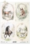 konie, wiejskie zwierzęta, wiosenne klimaty, rustykalny styl*horses, farm animals, spring flowers, rustic style*Pferde, Tiere auf dem Bauernhof, Frühlingsblumen, rustikaler Stil