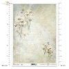 Kwiatowa Poczta, w bieli, rumianek, rumianki, zioła, łąka, kwiaty polne, lato, kolaż, napisy, retro tło, Flower Post, in white, chamomile, herbs, meadow, field flowers, summer, collage, lettering, retro background, Blumenpost, in weiß, Kamille