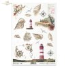shell, shells, seashell, seashells, lighthouse, sea, wind rose, steering wheel, sailing ship, travel, holiday, R407