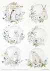 Creative Set MS011 The world of ice porcelain