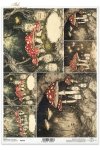 mroczny las, grzyby, muchomory, baśniowy krajobraz, ciemny las*dark forest, mushrooms, toadstools, fairytale landscape, dark forest*dunkler Wald, Pilze, Fliegenpilze, Märchenlandschaft, dunkler Wald*bosque oscuro, setas, seta, paisaje de cuento, bosque os