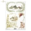 ornaments, plant ornaments, plant frames, leaves, flowers, views, 
