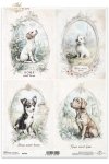 psy, pieski, wiejskie zwierzęta, wiosenne klimaty, rustykalny styl*dogs, country animals, spring breeds, rustic style*Hunde, Hühner, Tiere auf dem Lande, Frühlingsblumen, rustikaler Stil*perros, gallinas, animales de campo, clima primaveral, estilo rústic