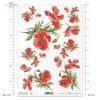 maki, mak, maków, makowe, łąka, ogród, polne kwiaty, polne maki, kwiat, kwiaty, kwiatek, kwiatki, lato, R957, poppy, flower, meadow, garden, summer, Mohn, Mohnblume, Blume, Wiese, Garten, Sommer, amapola, flor, prado, jardín, verano