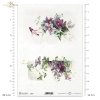 wiosenne kwiaty, clematis, powojnik, powojniki, łąka, ogród, wiosna, spring flowers, clematis, meadow, garden, spring, Frühlingsblumen, Clematis, Wiese, Garten, Frühling, flores de primavera, clemátide, prado, jardín, primavera