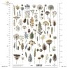 ususzone kwiatki, zioła, rośliny, suszki*dried flowers, herbs, plants, dries*Trockenblumen, Kräuter, Pflanzen, getrocknet*flores secas, hierbas, plantas, seca