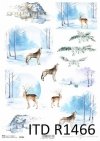 Boże Narodzenie, zimowe widoczki, zwierzęta*Christmas, winter views, animals