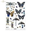 motyle, ważki, owady, kamienie szlachetne, kwiaty*butterflies, dragonflies, insects, precious stones, flowers*Schmetterlinge, Libellen, Insekten, Edelsteine, Blumen*mariposas, libélulas, insectos, piedras preciosas, flores