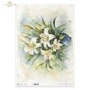 letnie kwiaty, bukiet kwiataów*Summer flowers, flower bouquet*Sommerblumen, Blumenstrauß*Flores de verano, ramo de flores 