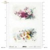 wiosenne kwiaty, rumianek, rumianki, lewkonia, lewkonie, łąka, ogród, wiosna, spring flowers, camomile, levconia, meadow, garden, springtime, Frühlingsblumen, Kamille, Levkonie, Wiese, Garten, Frühling, flores de primavera