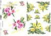 papel decoupage clásico D0560M