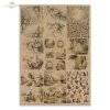 Conjunto Creativo MS047 - Cottage in the Country