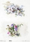 wiosenne kwiaty, tulipan, storczyk*spring flowers, tulip, orchid*Frühlingsblumen, Tulpe, Orchidee*flores de primavera, tulipán, orquídea