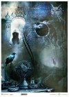 Nieodkryty magiczny świat - Alchemia, globus, Kruk, ptak, mgła, las, sowa, zaćmienie, księżyc, drzewo, napisy, jeleń, brama, zakapturzona postać, niebo, galaktyka, tajemnica...