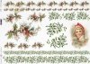 Christmas, festive trails, holly, mistletoe*Weihnachten, festliche Wege, Stechpalme, Mistel*Navidad, senderos festivos, acebo, muérdago