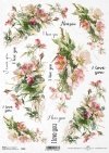 dzika róża, róże, lato, łąka, ogród, polne kwiaty, bukiet, R862, wild rose, summer, meadow, garden, field flowers, bouquet, Wildrose, Rosen, Sommer, Wiese, Garten, Feldblumen, Strauß, rosa silvestre, rosas, verano, prado, jardín, flores de campo, ramo