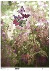  twarz kobiety, rośliny, oregano* female face, plants, oregano* weibliches Gesicht, Pflanzen, Oregano* rostro femenino, plantas, orégano