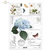hortensja, kwiaty, motyle, zioła*hydrangea, flowers, butterflies, herbs*Hortensien, Blumen, Schmetterlinge, Kräuter*hortensias, flores, mariposas, hierbas aromáticas