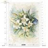 letnie kwiaty, bukiet kwiatów*Summer flowers, flower bouquet*Sommerblumen, Blumenstrauß