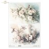 kwiaty flowers Blumen flores 