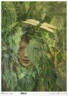  twarz kobiety, rośliny, pokrzywa* female face, plants, nettle* Weibliches Gesicht, Pflanzen, Brennnessel* rostro femenino, plantas, ortiga