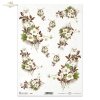 zawilec, zawilce, leśne kwiaty, wiosna, pora roku przedwiośnie, R677, forest flowers, spring, pre-winter season, Waldblumen, Frühling, Vorwinterzeit, flores del bosque, primavera, temporada pre-invierno