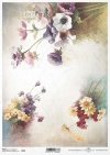 anemon, prymulka, prymulki, fiołek, fiołki, stokrotka, stokrotki, bukiet, kwiat, łąka, ogród, wiosna, lato, R971, anemone, primrose, primulas, violet, daisy, daisies, bouquet, flower, meadow, garden, spring, summer, Anemone, Primel, Primeln, Veilchen, Gän