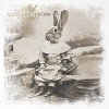 zwierzęta retro, zwierzęta w strojach, zoomorfizm, vintage,  króliki, zające, sielskie, sepia*retro animals, animals in costumes, zoomorphism, vintage, rabbits, hares, idyllic, sepia