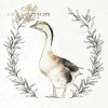 gęsie z roślinnymi wieńcami*geese with floral wreaths*Gänse mit Blumenkränzen*gansos con coronas de flores