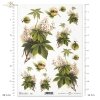 kasztany-kwiaty-kasztanowca-liście- gałązki-papier-decoupage-ryżowy-R0322