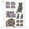 painting-cat-cats-tiger-tigers-animals-artist-painter-Klaudia-Bezak-R0147