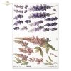 dekoracyjne wzory, motywy kwiatowe, bukiet kwiatów, Ogród Muz, Garden of Muses * Mulberry decoupage paper FPA1005, decorative patterns, floral motifs, bouquet of flowers, Garden of Muses *Seria Garden of Muses