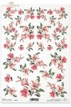 kwiat, kwiaty, lilia, lilie. lilii, ogród, R150, lilie, lilies, flower, flowers, meadow, garden, flores, lirios rosados , Blumen, rosa Lilien 