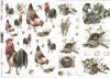 papel decoupage clásico D0606M