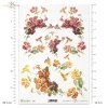 flower, flowers, leaf, leaves, flower petals, spring, nasturtium, nasturtiums, R417