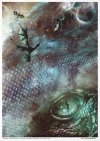 Nieodkryty magiczny świat, astrologia, niebo, konstelacje, gwiazdozbiór, mityczne zwierzęta, znaki zodiaku, hipogryf, zamek Drakuli, smok, smoki, skóra smoka, smocza łuska, złoty smok, napisy, litery, runy, alfabet runiczny, wierzenia nordyckie, las, jele