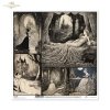 Lost in a Fairy Tale * Zagubieni w bajce