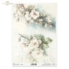 kwiaty flowers Blumen flores 