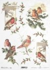 ptak, ptaszek, ptaszki, zima, śnieg, ostrokrzew, dekoracje na Boże Narodzenie, bożonarodzeniowe motywy, R595, bird, winter, snow, holly, christmas decorations, christmas motifs, Vogel, Vögelchen, Winter, Schnee, Stechpalme, Weihnachtsdekoration, Weihnacht