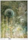  twarz kobiety, rośliny, mniszek* female face, plants, dandelion* Weibliches Gesicht, Pflanzen, Löwenzahn* rostro femenino, plantas, diente de león