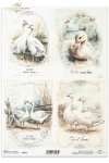 gęsie, gąski, wiejskie zwierzęta, wiosenne klimaty, rustykalny styl*geese, countryside animals, spring breeding, rustic style*Gänse, Tiere auf dem Lande, Frühjahrsaufzucht, rustikaler Stil