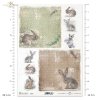 hare, background with various ornaments, pastel background with fragments of ornaments, farm animals, Tiere, Hase, Pastell Hintergrund  mit Fragmenten von Ornamenten, Bauernhoftiere, animales, liebre