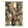 mroczny las, grzyby, muchomory, baśniowy krajobraz, ciemny las*dark forest, mushrooms, toadstools, fairytale landscape, dark forest*dunkler Wald, Pilze, Fliegenpilze, Märchenlandschaft, dunkler Wald*bosque oscuro, setas, seta, paisaje de cuento, bosque os