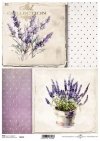 lawenda*lavender, bouquet of flowers*Lavendel, Blumenstrauß*lavanda, ramo de flores