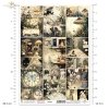 Alice's Magic - A tale of a world that has forgotten logic  - Czary Alicji - Opowieść o świecie, który zapomniał logiki * 