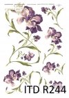 kwiaty, irys, irysy, z kwiatami irysów, fioletowe irysy, długie łodyżki, naturalna wielkość