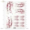 flower, flowers, leaf, leaves, flower petals, blossoming apple tree, apple tree flower