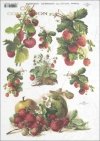 strawberry, strawberrys, strawberry fruit, strawberry bush, fruit, R394